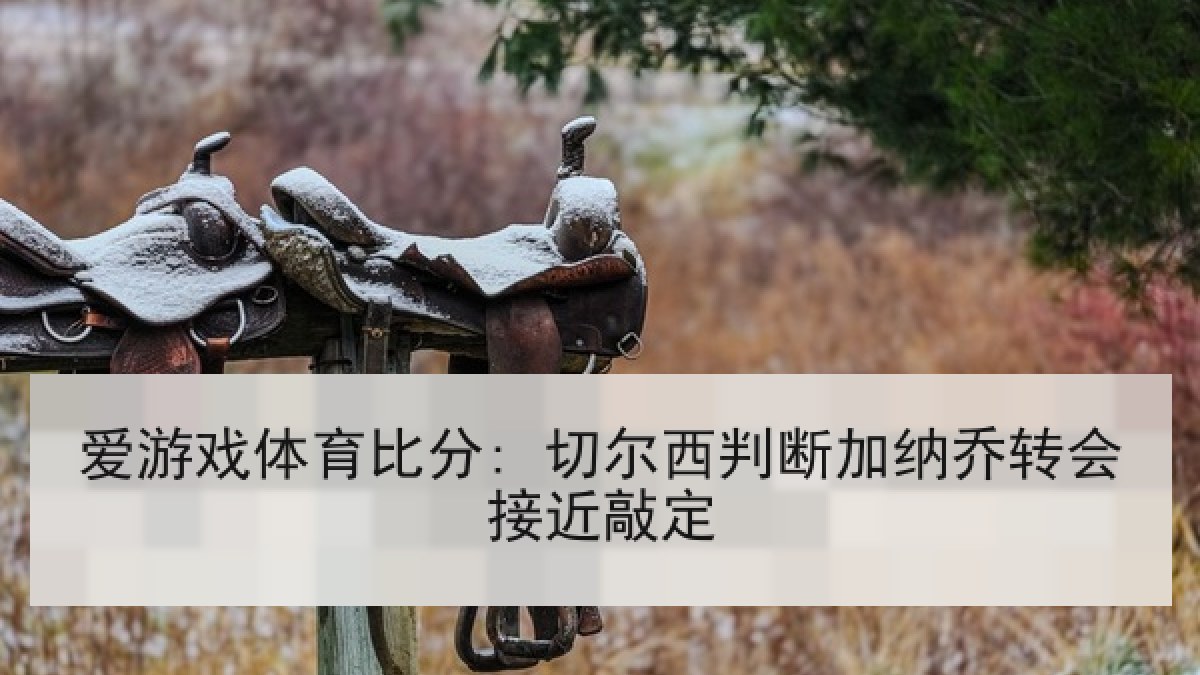 爱游戏体育比分: 切尔西判断加纳乔转会接近敲定