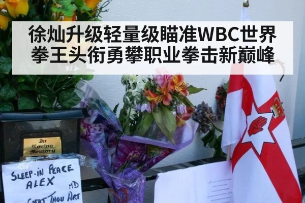 徐灿升级轻量级瞄准WBC世界拳王头衔勇攀职业拳击新巅峰